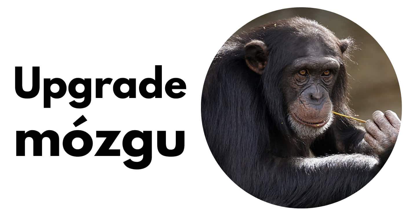 widget-any-image-alt-default